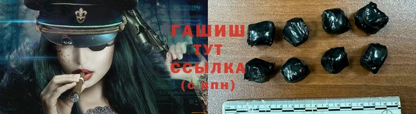 гашик Аркадак