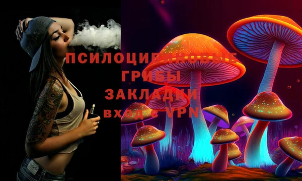 гашик Аркадак