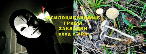 гашик Аркадак